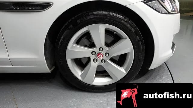 Jaguar XF XF (X260) 2018 года - вид 5
