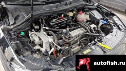 Миниатюра 6