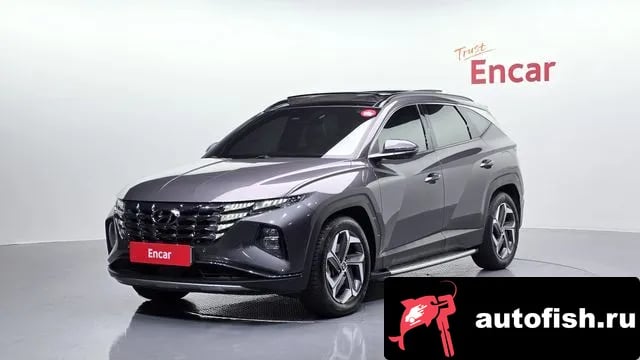 Hyundai Tucson Tucson (NX4) 2020 года - вид 1