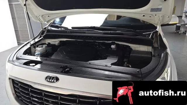 Kia Carnival The New Carnival 2019 года - вид 6