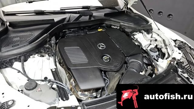 Mercedes-Benz GLC-Class GLC-Class X254 2024 года - вид 5