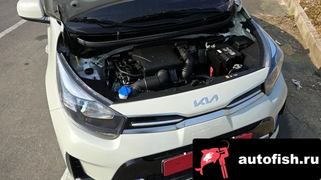 Kia morning Morning Urban (JA) 2023 года - вид 6