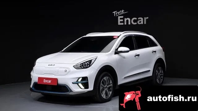 Kia Niro Niro EV 2021 года - автомобиль из Южной Кореи