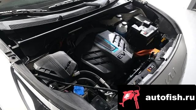 Kia Niro Niro EV 2021 года - вид 6