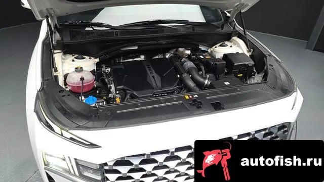 Hyundai Santafe The New San Tafe 2020 года - вид 6