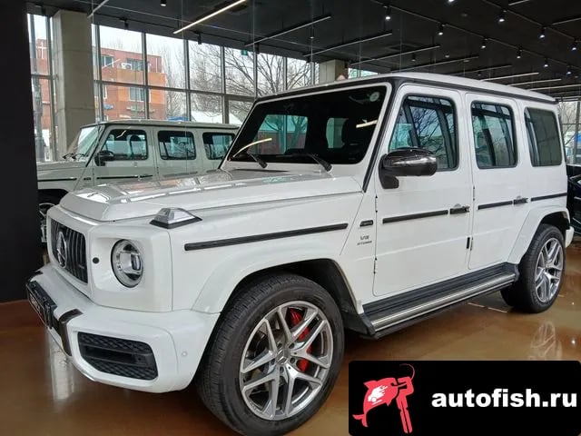 Mercedes-Benz G-Class G-Class W463b 2020 года - вид 4