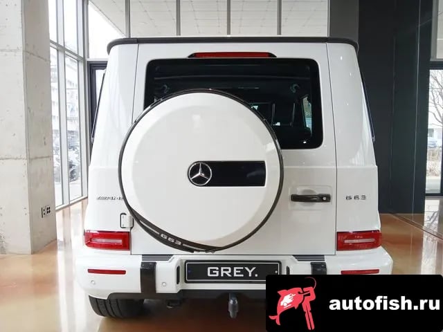 Mercedes-Benz G-Class G-Class W463b 2020 года - вид 5