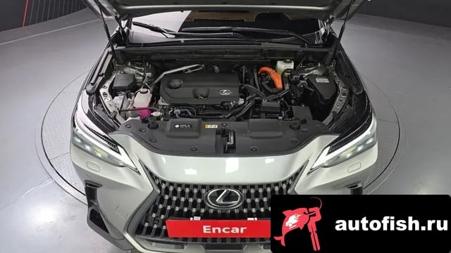 Lexus NX NX350h Second generation 2025 года - вид 6