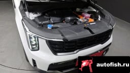 Миниатюра 6