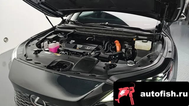 Lexus RX RX350h 5th generation 2023 года - вид 6