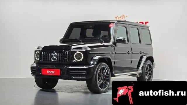 Mercedes-Benz G-Class G-Class W463b 2019 года - вид 1
