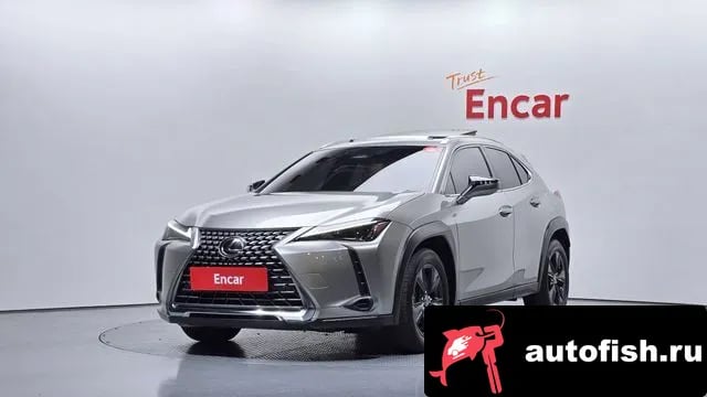 Lexus UX UX300h 2024 года - вид 1