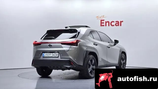 Lexus UX UX300h 2024 года - вид 2