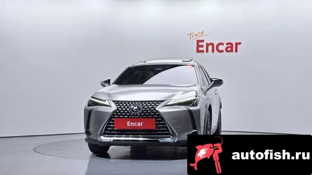 Lexus UX UX300h 2024 года - вид 3