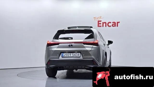Lexus UX UX300h 2024 года - вид 4