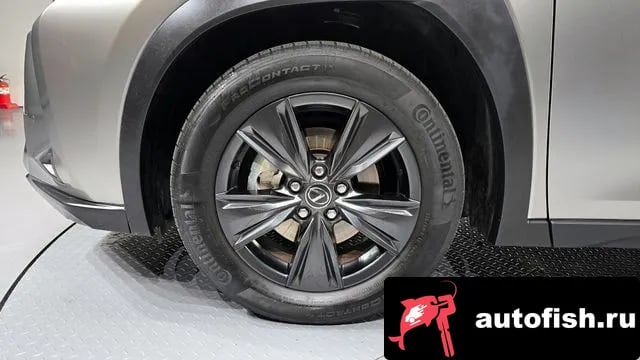 Lexus UX UX300h 2024 года - вид 5