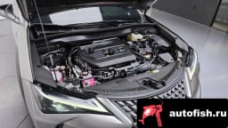 Миниатюра 6