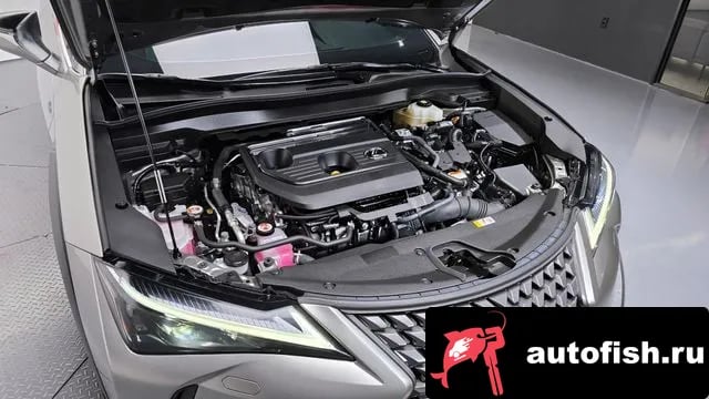 Lexus UX UX300h 2024 года - вид 6