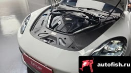 Миниатюра 6