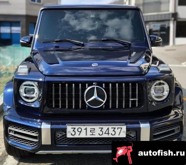Mercedes-Benz G-Class G-Class W463b 2020 года - вид 1