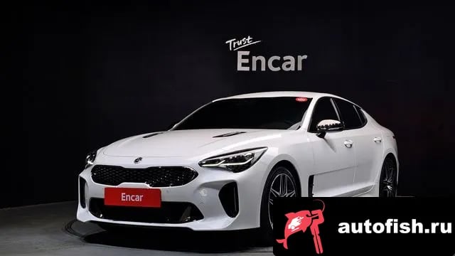 Kia Stinger Stinger Meister 2021 года - вид 1