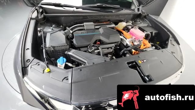 Hyundai Tucson The New Tucson Hybrid (NX4) 2024 года - вид 6