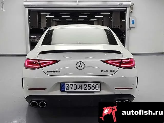 Mercedes-Benz CLS-Class CLS-Class C257 2019 года - вид 4