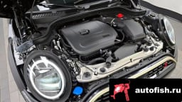 Миниатюра 6