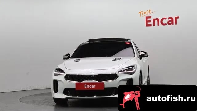 Kia Stinger Stinger Meister 2022 года - вид 3