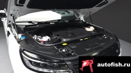 Миниатюра 6