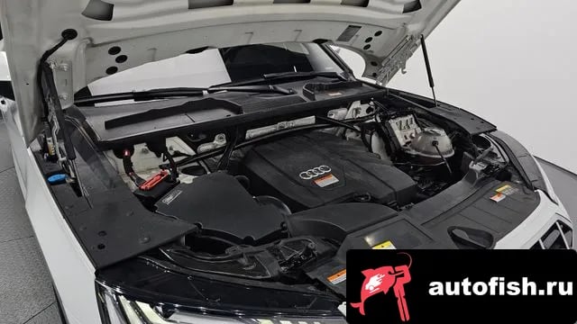 Audi Q5 Q5 (FY) 2021 года - вид 6