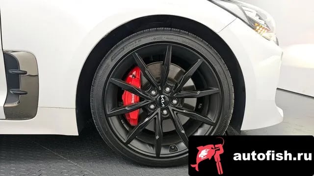 Kia Stinger Stinger Meister 2023 года - вид 5