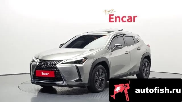 Lexus UX UX250h 2024 года - вид 1