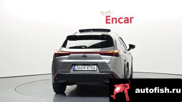 Lexus UX UX250h 2024 года - вид 4