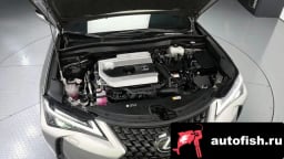 Миниатюра 6