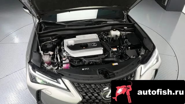 Lexus UX UX250h 2024 года - вид 6