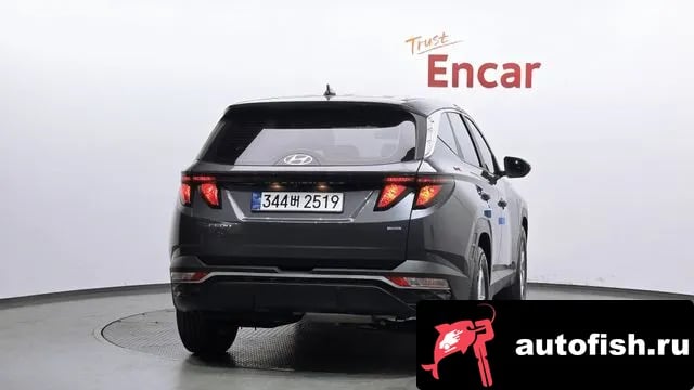 Hyundai Tucson Tucson (NX4) 2023 года - вид 4