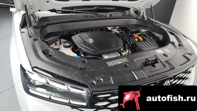 Renault Korea (Samsung) Grand Koleos Grand Coleos 2024 года - вид 5