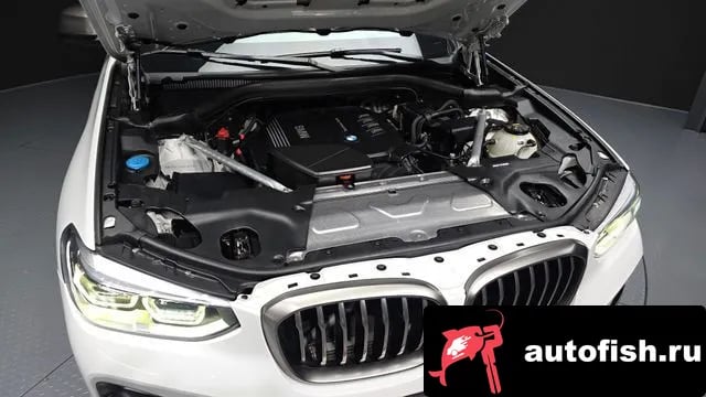 BMW X4 X4 (G02) 2019 года - вид 6