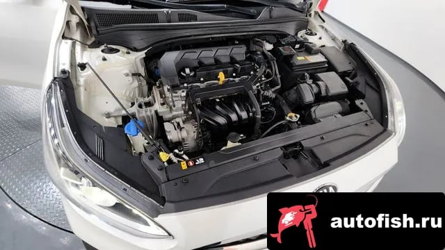 Kia K3 Come New K3 2018 года - вид 6