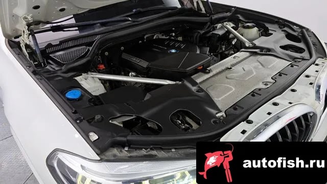 BMW X4 X4 (G02) 2019 года - вид 6