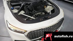 Миниатюра 6