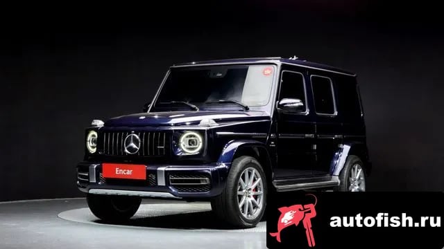 Mercedes-Benz G-Class G-Class W463b 2020 года - вид 1