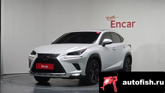Lexus NX NX300h 2021 года - вид 1