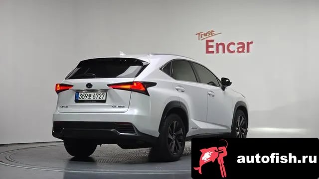 Lexus NX NX300h 2021 года - вид 2
