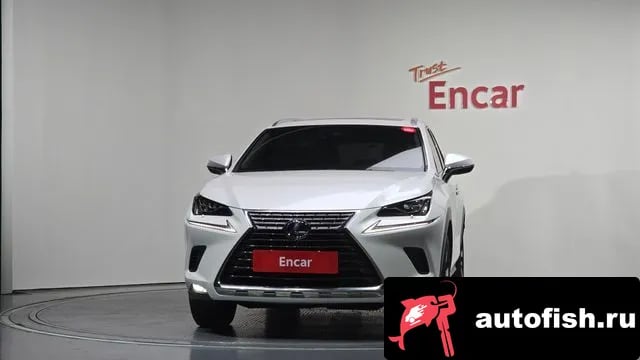 Lexus NX NX300h 2021 года - вид 3