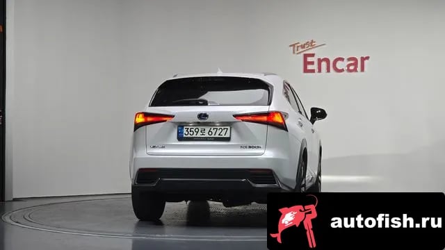 Lexus NX NX300h 2021 года - вид 4