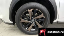 Миниатюра 5