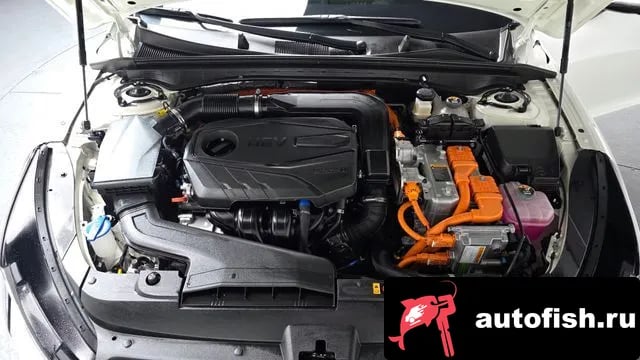 Kia K5 The New K5 Hybrid 3rd generation 2024 года - вид 5