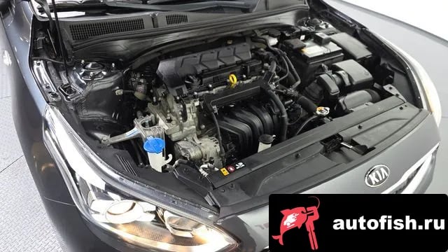 Kia K3 Come New K3 2021 года - вид 6
